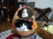 うちの猫