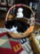 うちの猫