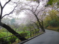 20170408202724