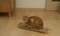 20181205120855