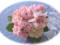 20100418075529