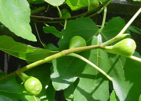 20100708114910
