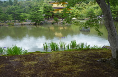 20130612130553