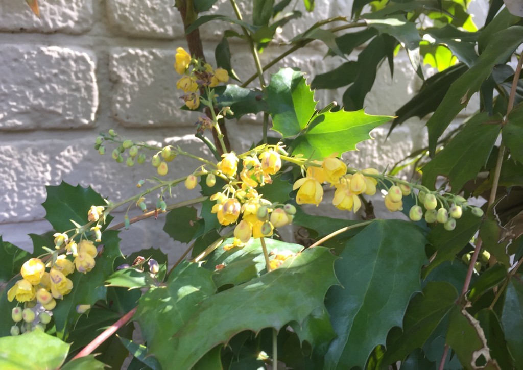 f:id:a-doll:20180318101415j:plain f:id:a-doll:20180318101415j:plain