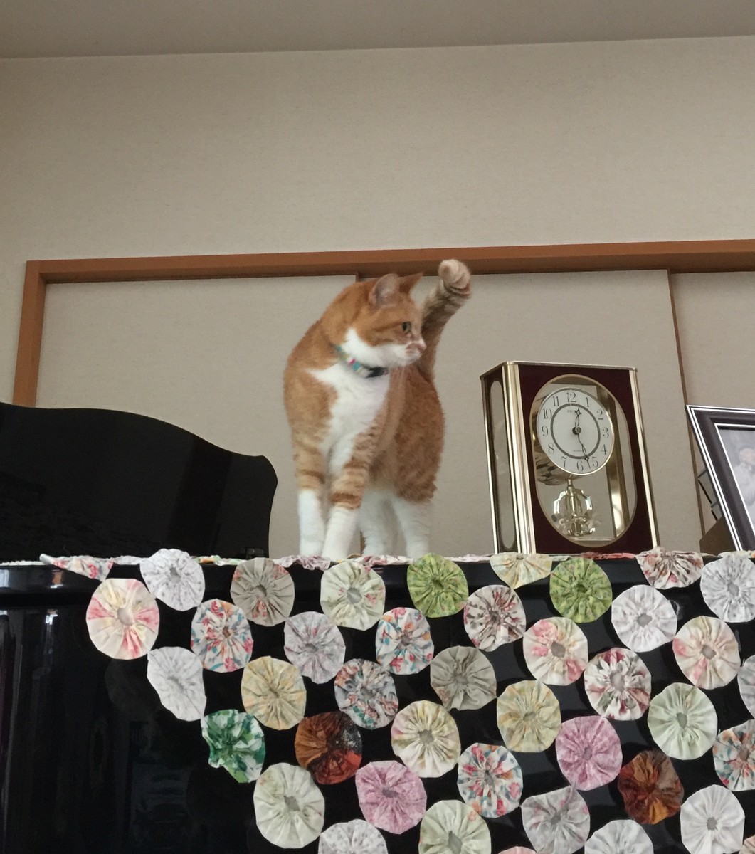 f:id:a-doll:20190711122217j:plain f:id:a-doll:20190711122217j:plain