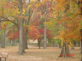 Public Park in Ridgewood