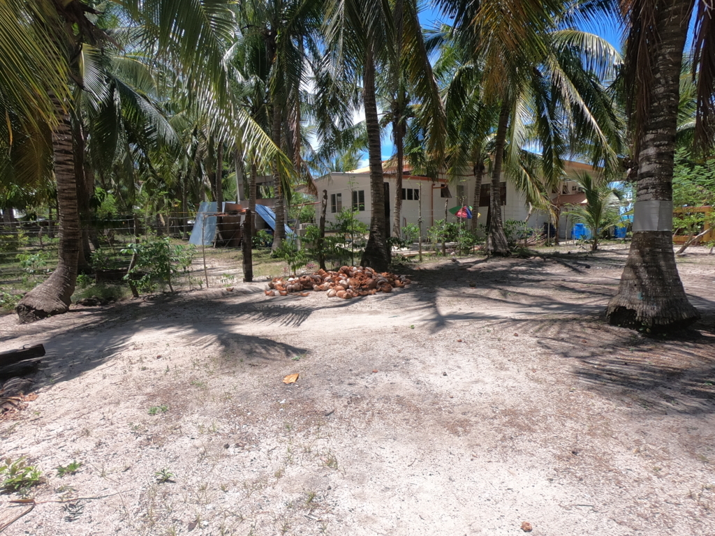 f:id:a-ichikawa:20180702094501j:plain