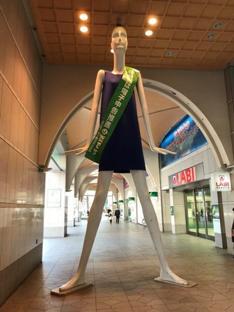 イメージ 9
