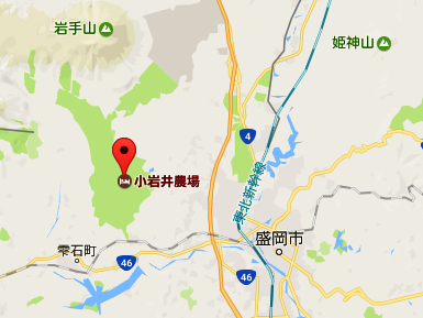 イメージ 6