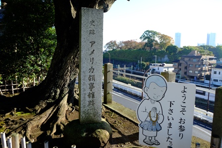 イメージ 2