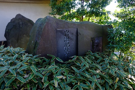 イメージ 5