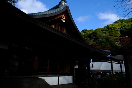 イメージ 6