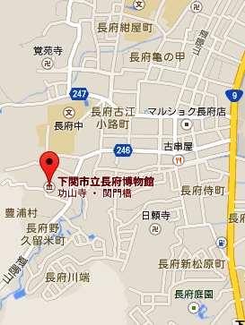 イメージ 8