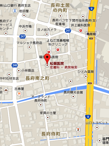 イメージ 6
