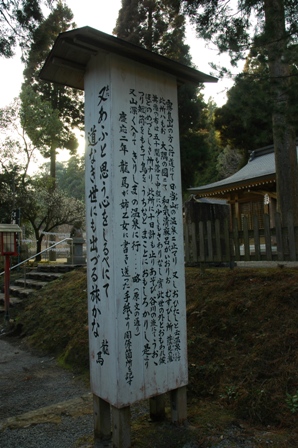 イメージ 7