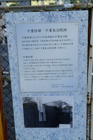 イメージ 5