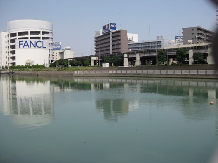イメージ 5