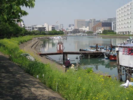 イメージ 7