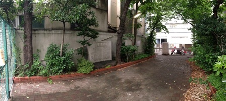 イメージ 5