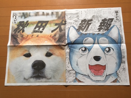 イメージ 11