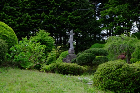 イメージ 4