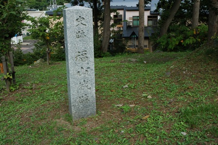 イメージ 5