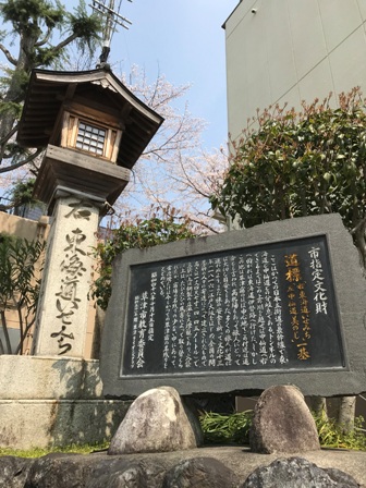 イメージ 8