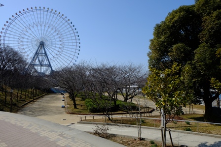イメージ 4