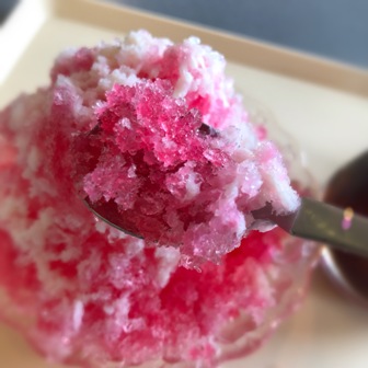 f:id:a-jyanaika:20190904225203j:plain