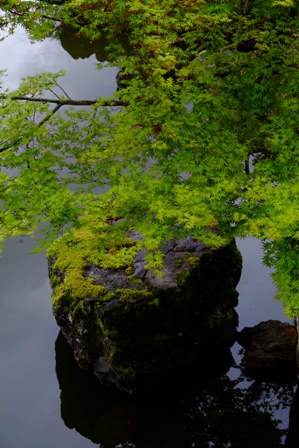 f:id:a-jyanaika:20190914235812j:plain