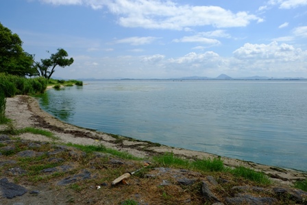 f:id:a-jyanaika:20191026210303j:plain