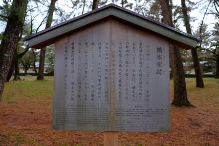 f:id:a-jyanaika:20200721142656j:plain f:id:a-jyanaika:20200721142656j:plain