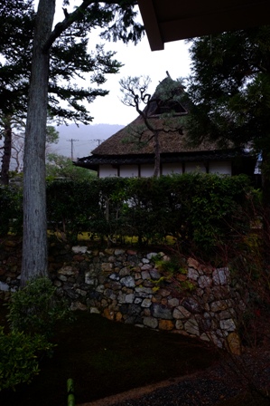 f:id:a-jyanaika:20200816114708j:plain f:id:a-jyanaika:20200816114708j:plain