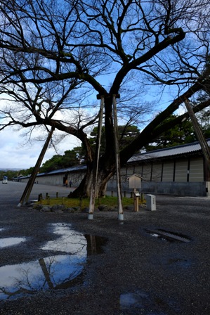 f:id:a-jyanaika:20200819120103j:plain
