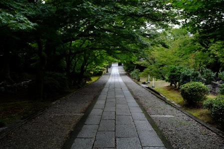 f:id:a-jyanaika:20200919134048j:plain f:id:a-jyanaika:20200919134048j:plain
