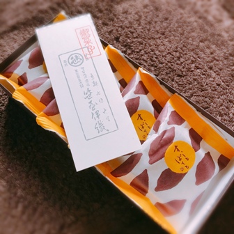 f:id:a-jyanaika:20201008000608j:plain