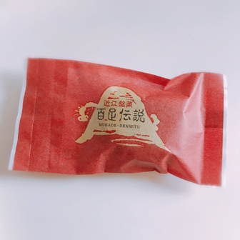 f:id:a-jyanaika:20210107234826j:plain