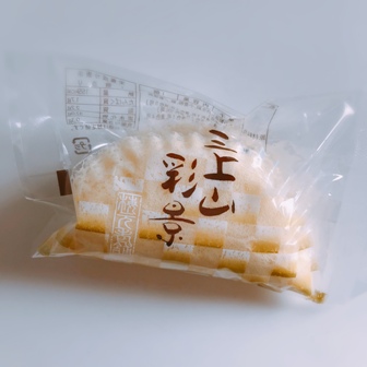 f:id:a-jyanaika:20210107235235j:plain
