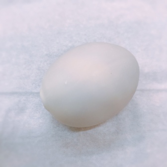 f:id:a-jyanaika:20210204141809j:plain