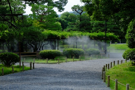 f:id:a-jyanaika:20210726123208j:plain