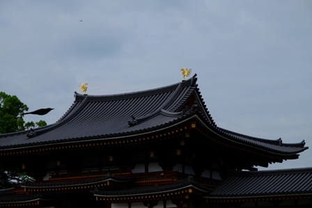 f:id:a-jyanaika:20210726140118j:plain