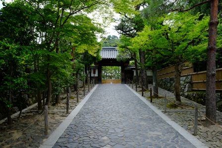 f:id:a-jyanaika:20210903151933j:plain