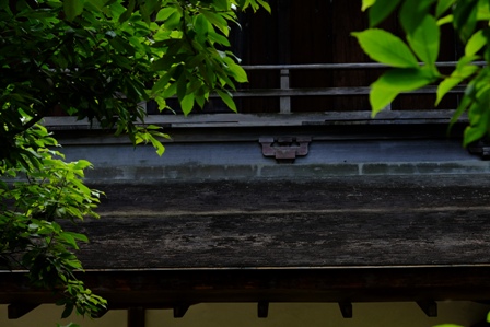 f:id:a-jyanaika:20210903231629j:plain