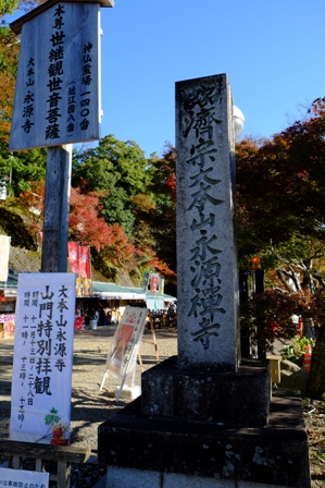 f:id:a-jyanaika:20211113161508j:plain