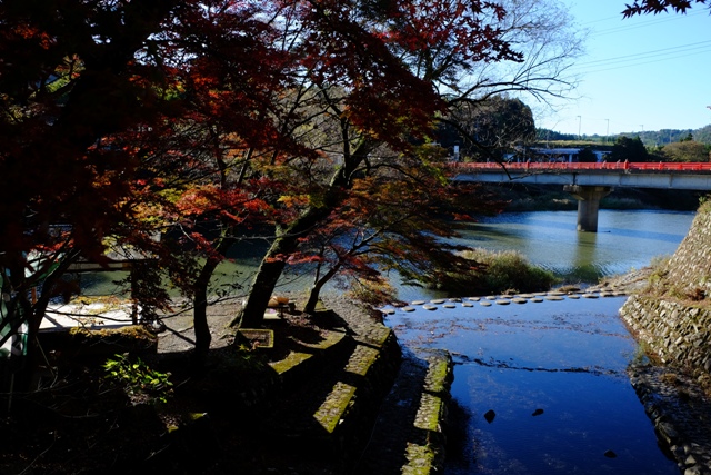 f:id:a-jyanaika:20211113162742j:plain