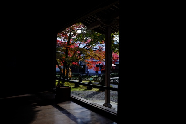 f:id:a-jyanaika:20211113171817j:plain