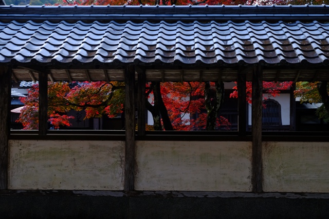 f:id:a-jyanaika:20211113172909j:plain