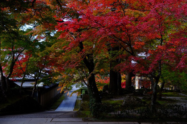 f:id:a-jyanaika:20211113173020j:plain