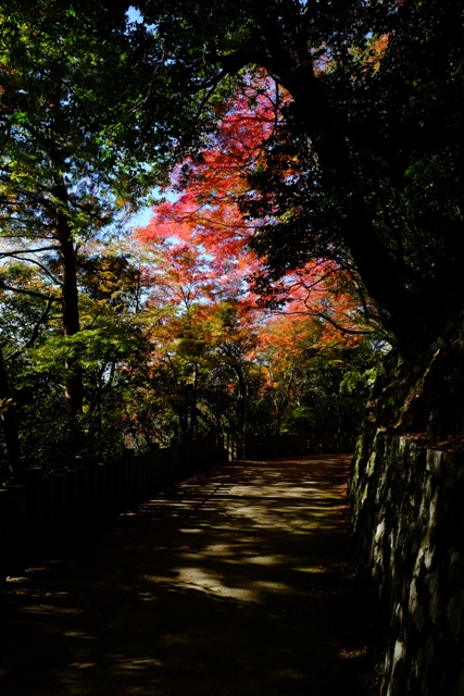 f:id:a-jyanaika:20211113174236j:plain