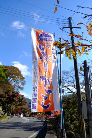 f:id:a-jyanaika:20211113204823j:plain